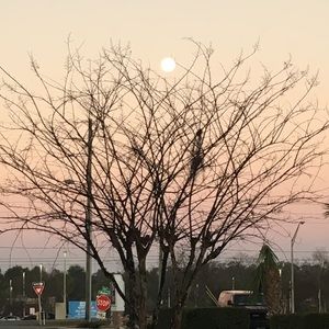 Meet your Posher, Benjamin